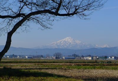 まだ小春日和かな？.jpg