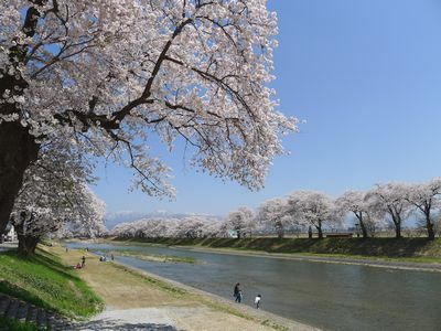 角館まで行かなくてもね.jpg