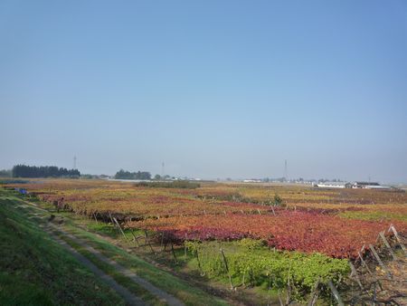 快晴な一日.jpg