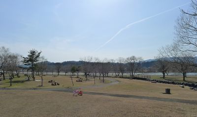 白鳥も帰る陽気.jpg