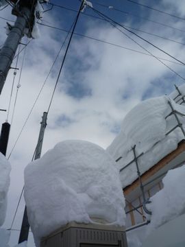 明日も雪投げ？.jpg